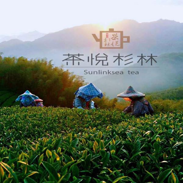 Taiwan unique tea,TTES No.12 (Jhinshuan),杉林溪烏龍茶 Shanlinxi Oolong Tea,150g*4