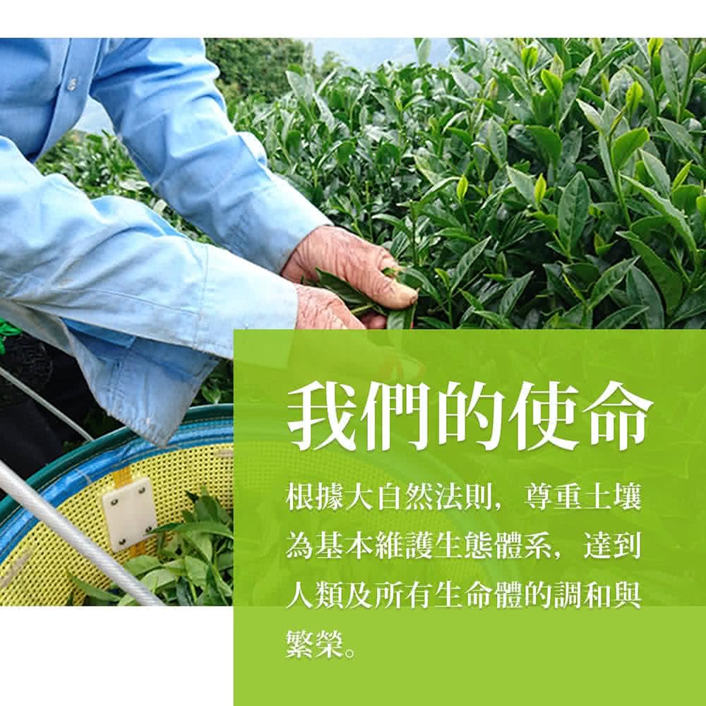 Taiwan unique tea,青心烏龍 杉林溪-羊茗灣,150g*6