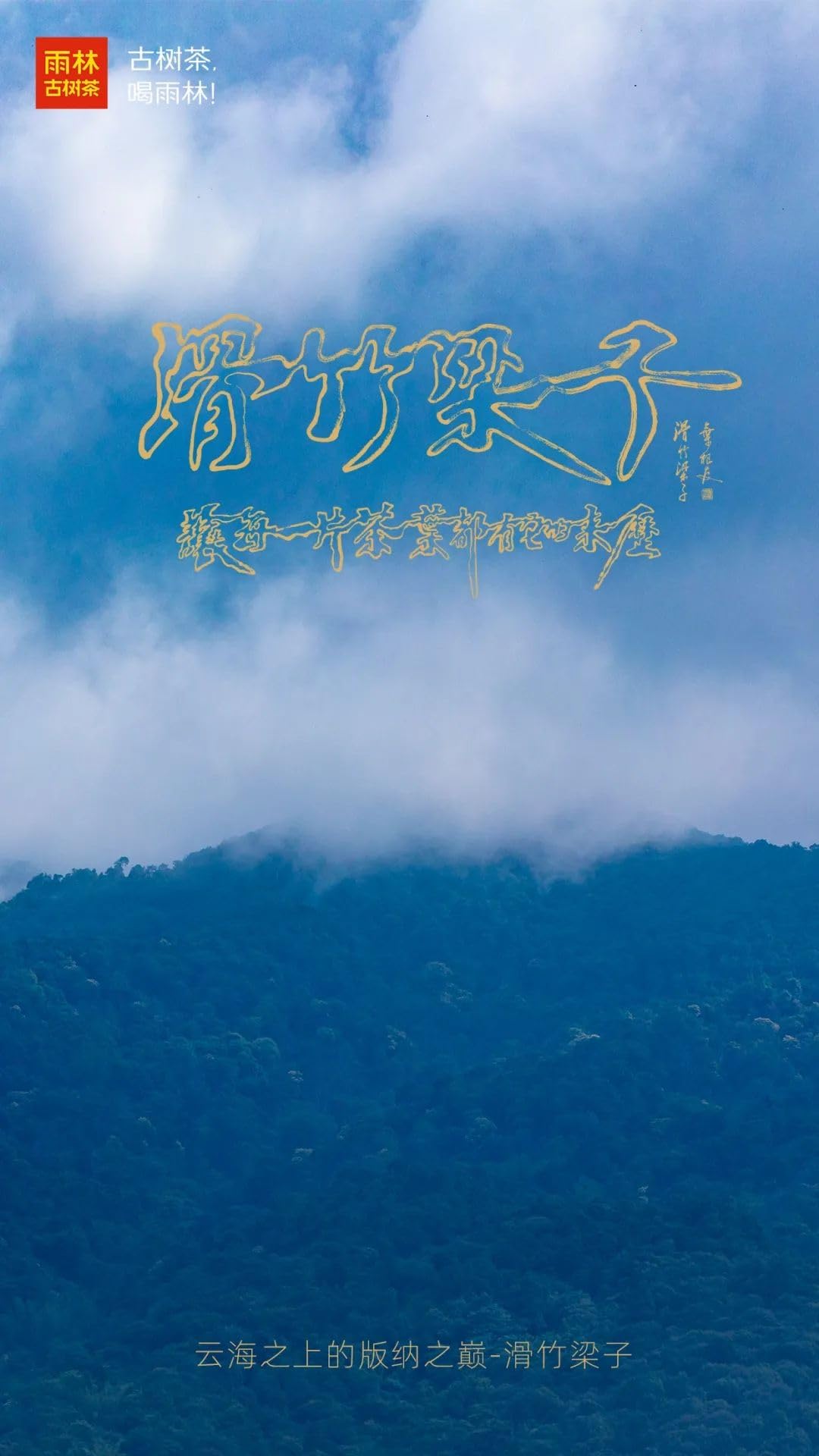 Yulin Raw Pu-erh Tea Cake - 2021 Hua Zhu Liang Zi 150g*5 (750g Total)