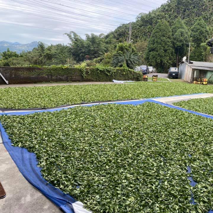 Taiwan unique tea,Chin-Shin-Oolong,那瑪夏烏龍茶 Namasya oolong tea,150g*4