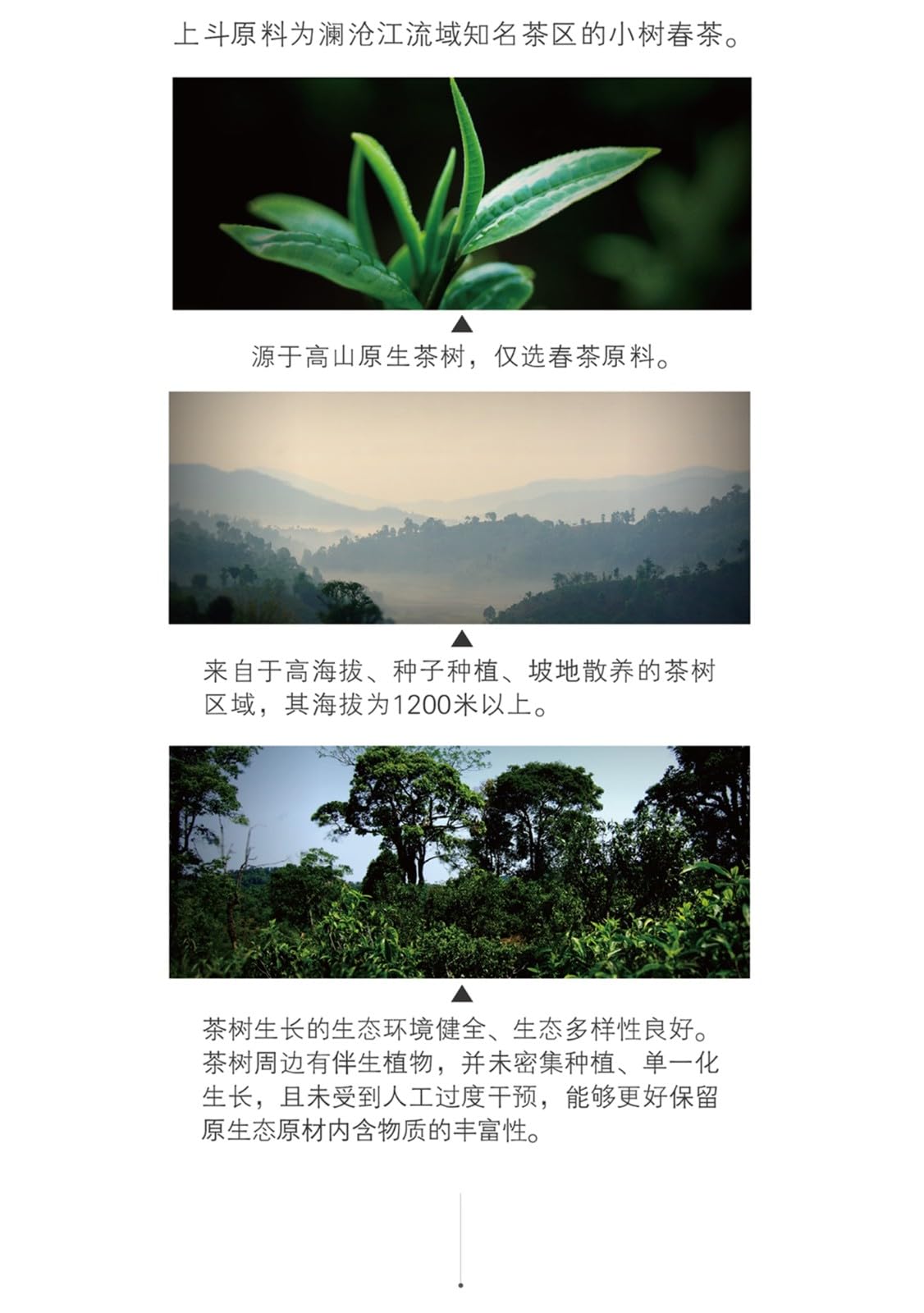 Douji 2011 Shang Dou Raw Puerh Tea Cake 357g