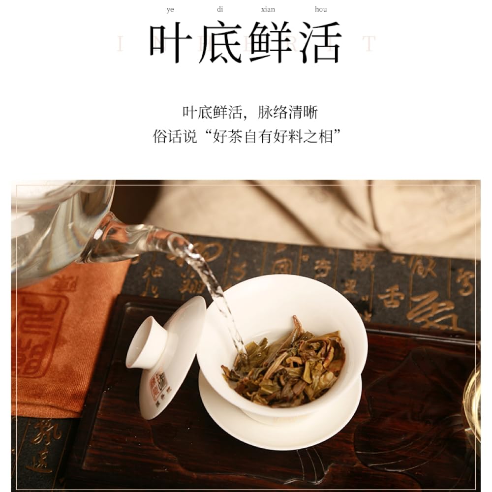 2019 Chen Sheng Hao Nannuo Big Tree Raw Pu-erh Tea Cake, 357g, from Yunnan