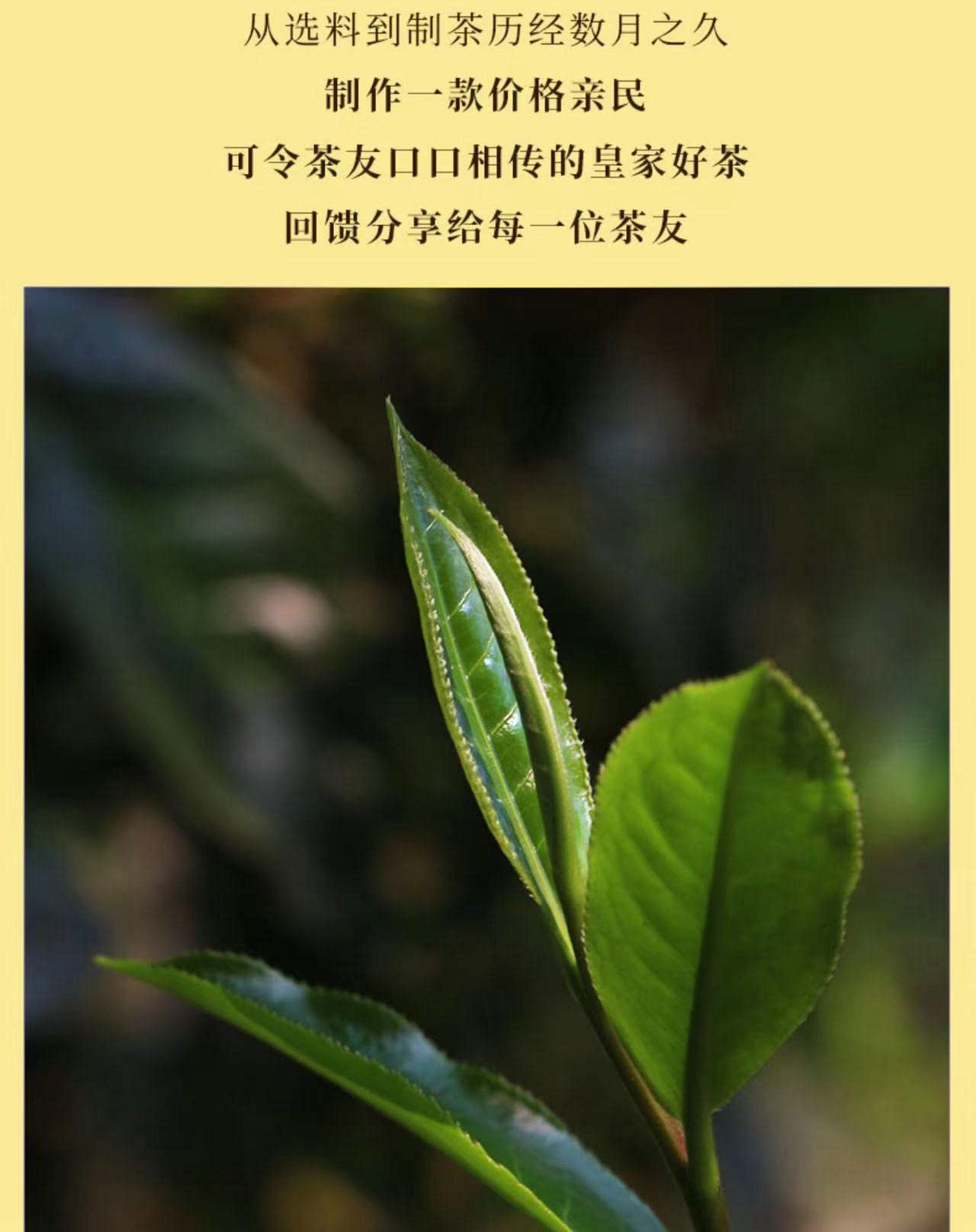 2020 Sheng Jia Yuan Sleepy Deer Mountain Raw Pu-erh Tea Cake, 357g, from Yunnan