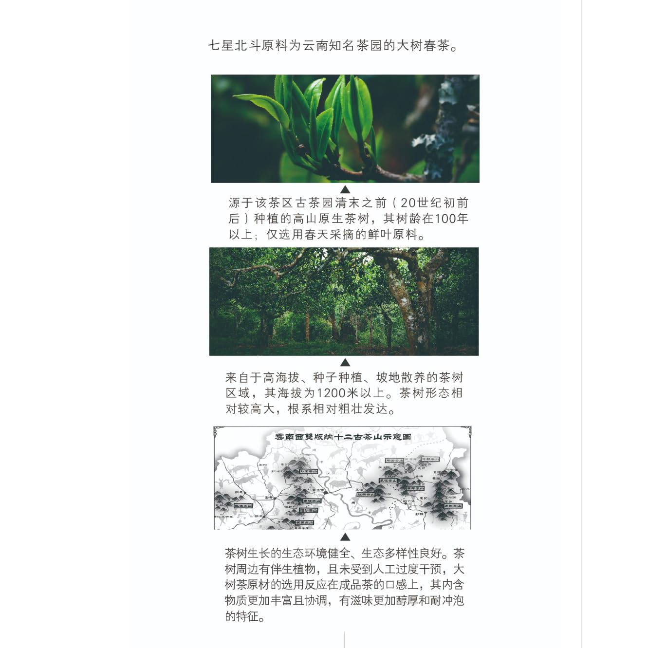 Douji 2014 Qixing Beidou Pu-erh Tea Cake, 400g Raw Pu-erh (Sheng)