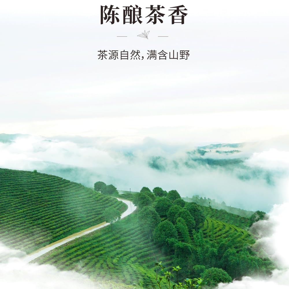 Pu-Erh tea,2021,Yihua Green Cake,357g,Ripe
