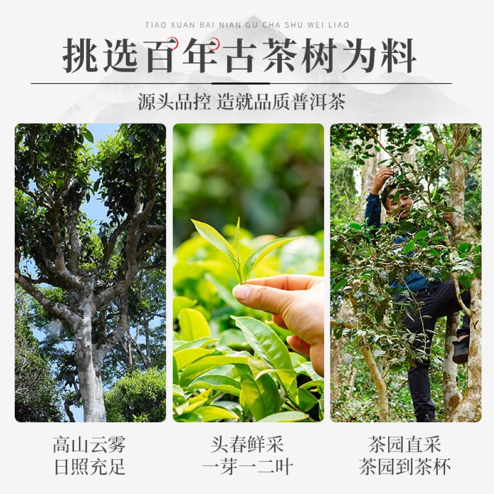 Pu-Erh tea,2022,Xiangzhuqing,357g,Raw