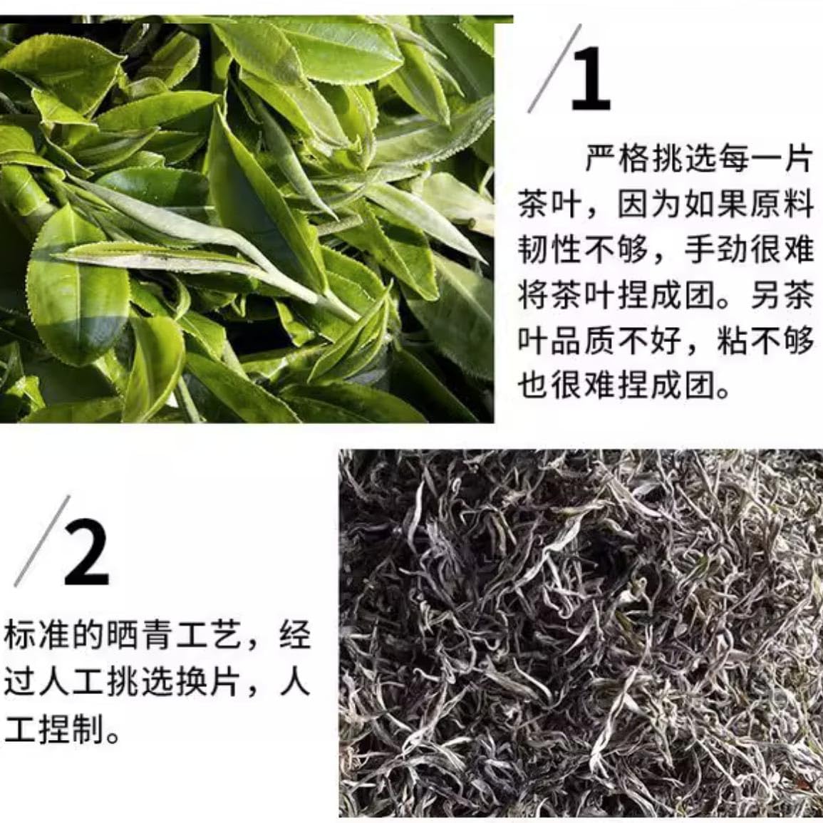 Sheng Jiayuan Raw Pu-erh Tea Dragon Ball, Bingdao Lao Zhai Ancient Tree Mini Tuocha, 500g