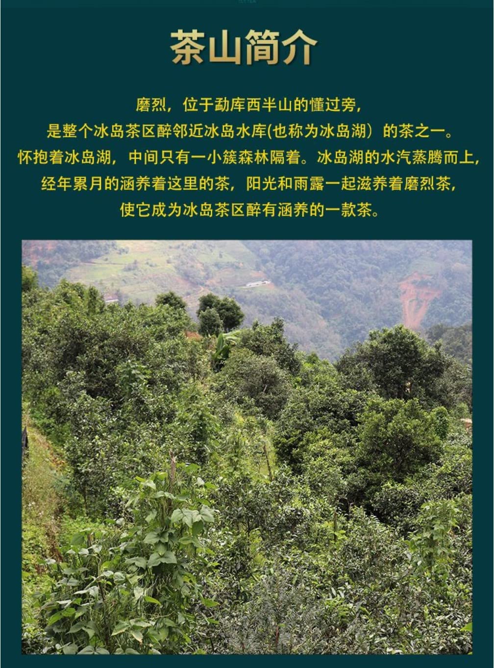 Puerh,2020,陸湯,磨烈,357g,Raw