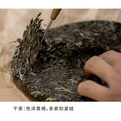2017 Dovji Nannuo Big Tree Raw Pu-erh Tea Cake, 357g, from Yunnan