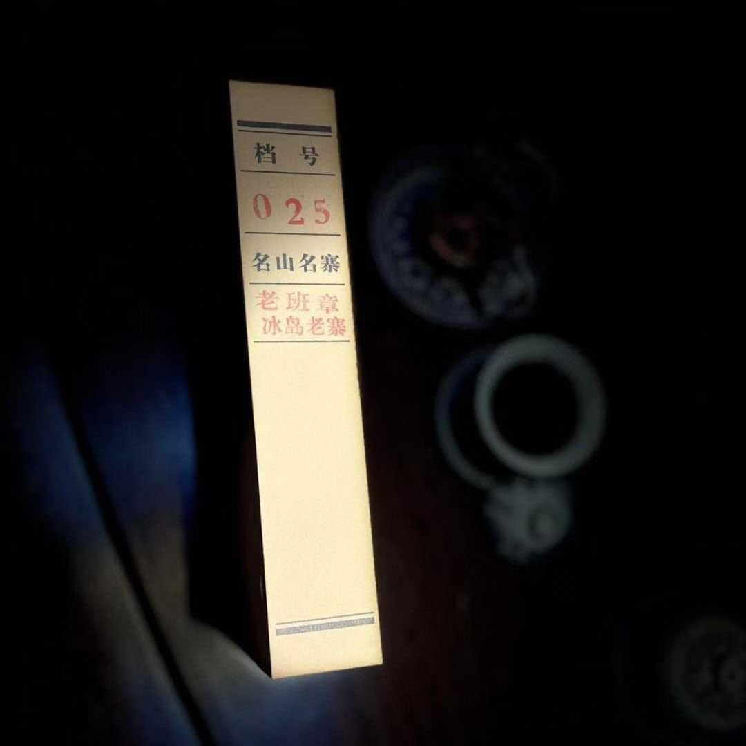2016 Yiwu Archive Collection Raw Pu-erh Tea 200g×2
