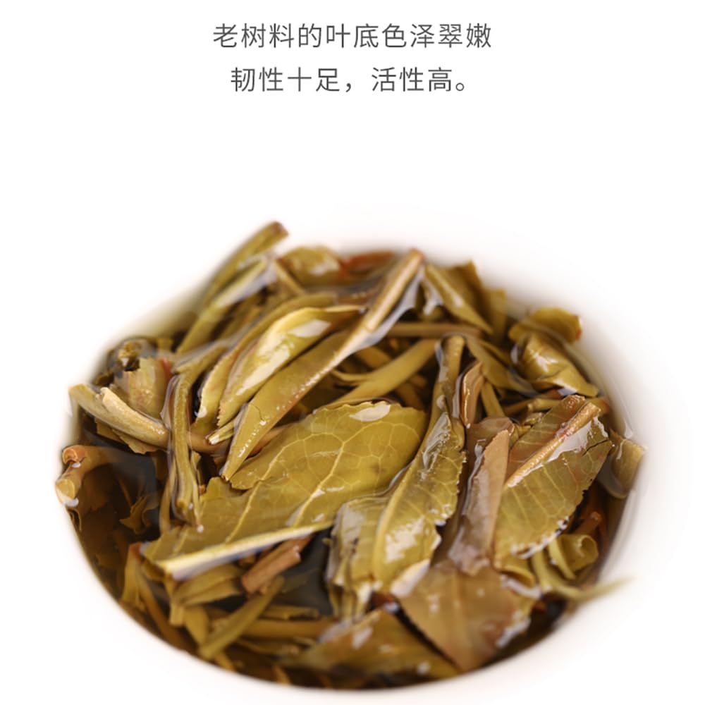 Old Comrade 2020 Fresh Fragrance Raw Pu-Erh Tea – 357g (12.6oz) Sheng Puerh Cake – Premium Aged Chinese Tea