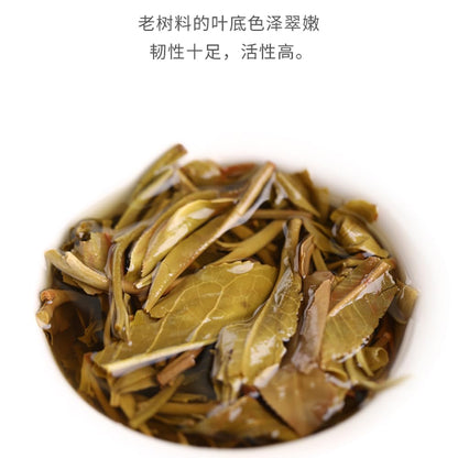 Old Comrade 2020 Fresh Fragrance Raw Pu-Erh Tea – 357g (12.6oz) Sheng Puerh Cake – Premium Aged Chinese Tea