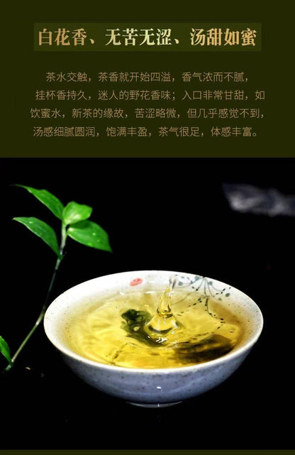 Sheng Jia Yuan 2016 Mansong Raw Pu-Erh Tea – 357g (12.6oz) Sheng Puerh Cake – Premium Aged Chinese Tea