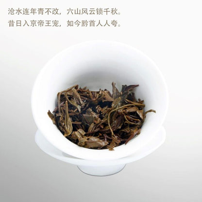 2017 ChenShenghao Yiwu Big Tree Raw Pu-erh Tea Cake, 357g, from Yunnan