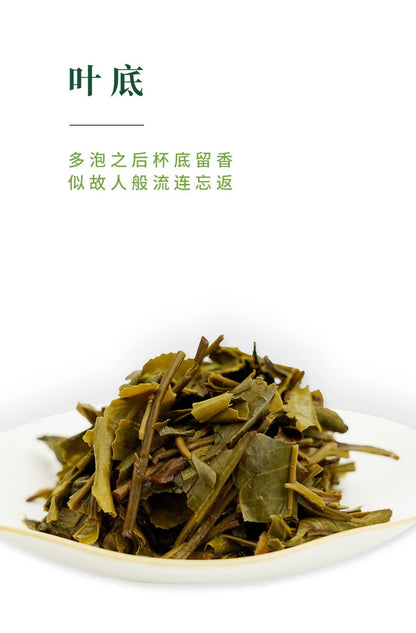 Prime Time 2021 Pu-Erh Tea, 357g, Raw