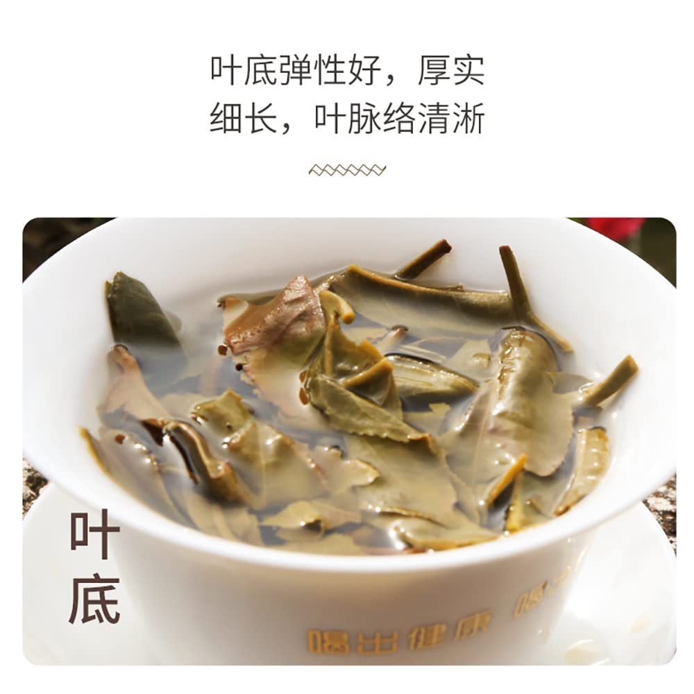 Chen Sheng Hao Poetry & Distance 2016 Raw Pu-Erh Tea Cake 357g