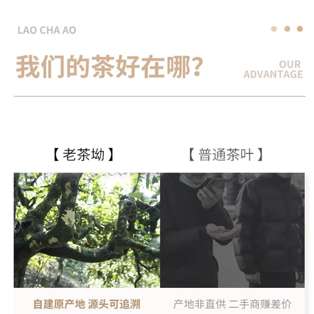 Bailian Jingmai Raw Pu-Erh Tea 2016 – 357g