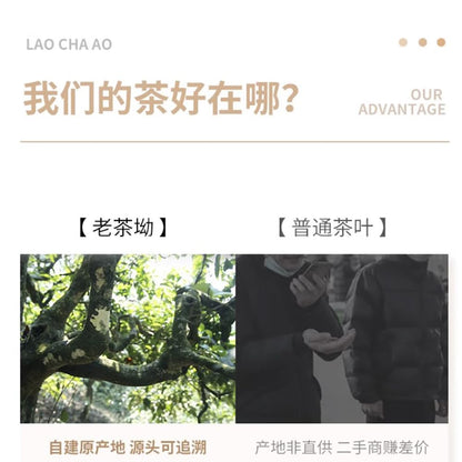 Bailian Jingmai Raw Pu-Erh Tea 2016 – 357g