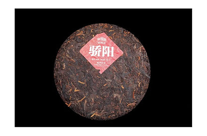 Old Comrade 2020 Jiaoyang Ripe Pu-Erh Tea – 357g (12.6oz) Shu Puerh Cake – Premium Fermented Chinese Tea