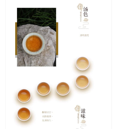 Pu-Erh tea,2016,Shunhai,Ba Wai Cake Tea,357g,Raw