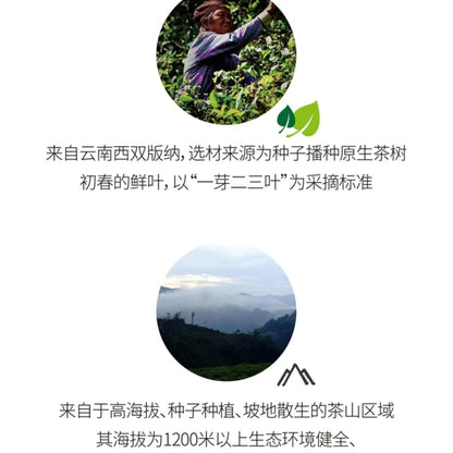 2017 Dovji Youle Big Tree Cake Raw Pu-erh Tea Cake, 357g, from Yunnan