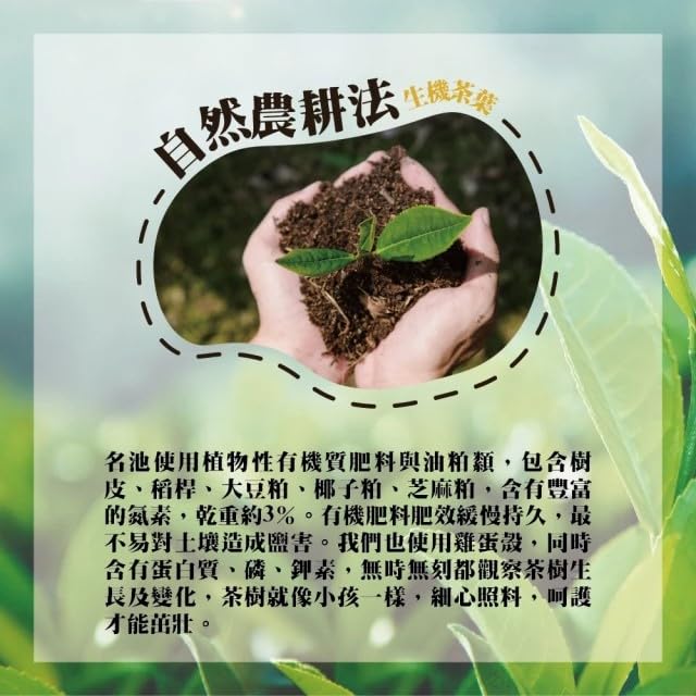 Taiwan unique tea,Chin-Shin-Oolong,大禹嶺品級手採高山茶葉 Dayuling Tea,150g*4