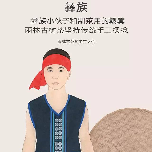 Rainforest Ningxiang 2016 Ripe Pu-Erh Tea Cake 357g – Premium Yunnan Shou Puerh
