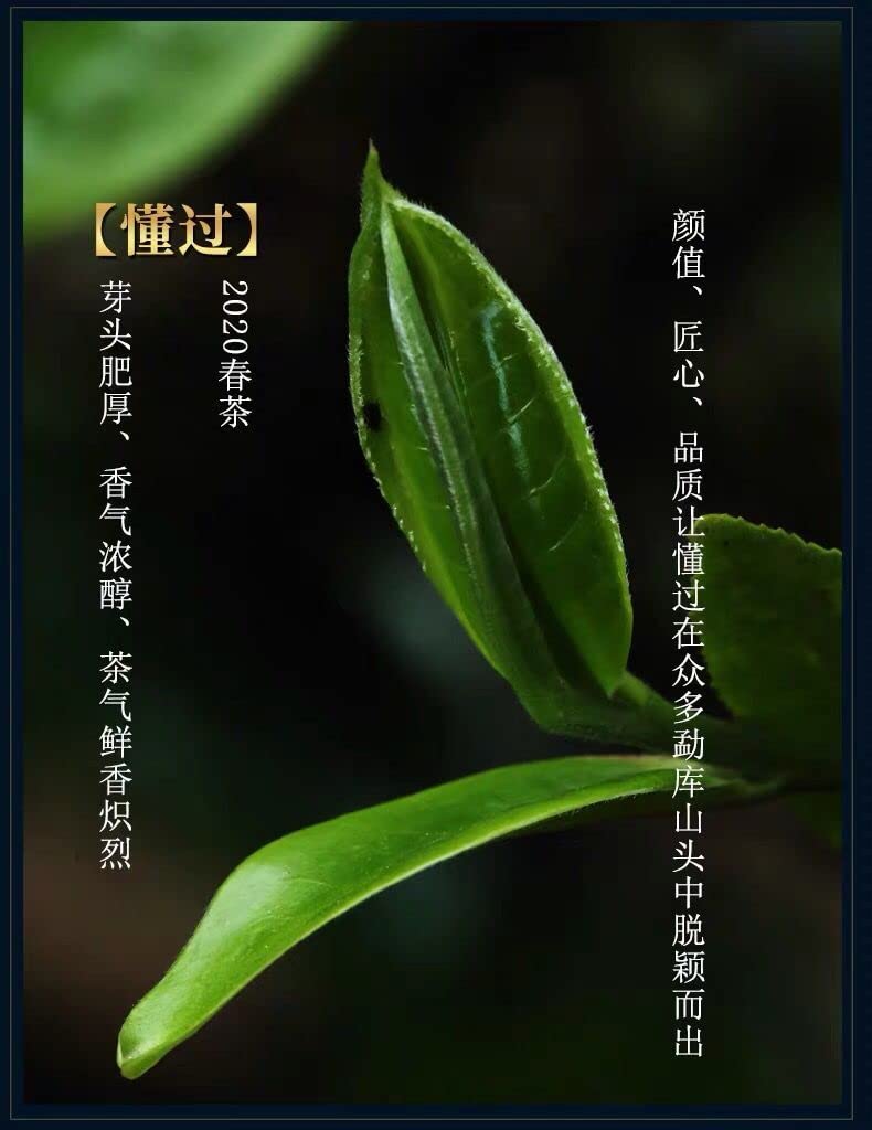 2020 Dongguo Raw Pu-erh Tea Cake, 357g, from Yunnan – SHENG JIA YUAN