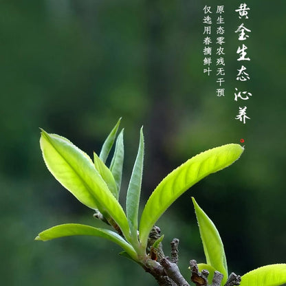 2019 Dovji Mengsong Small Tree Cake Raw Pu-erh Tea Cake, 357g, from Yunnan