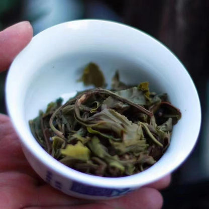 Banzhang Yinji Tribute Tuo Raw Pu-Erh Tea 2022 – 500g