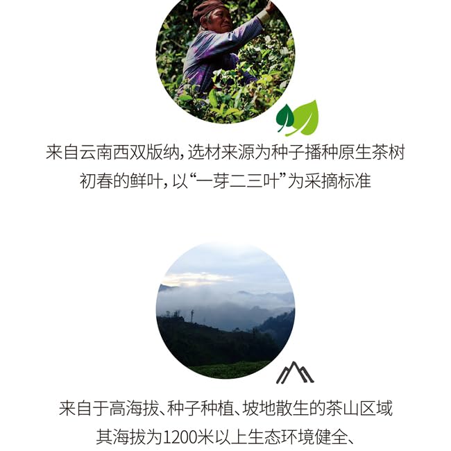 2017 Dovji Nannuo Big Tree Raw Pu-erh Tea Cake, 357g, from Yunnan