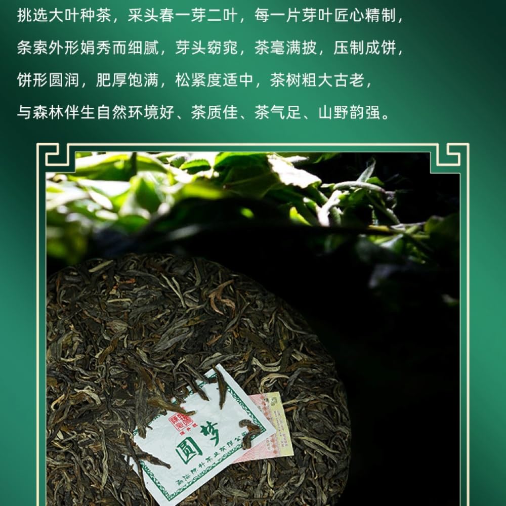 2020 Chen Sheng Hao Yuan Meng Raw Pu-erh Tea Cake, 357g, from Yunnan