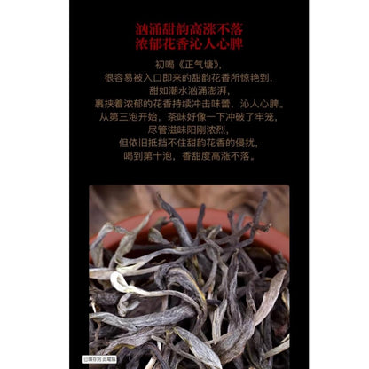 2020 Zhengqitang 500-Year-Old Tree Raw Pu-erh Tea Cake, 1000g, from Yunnan
