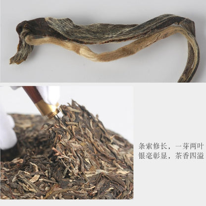 Chen Sheng Hao Year of the Dog Zodiac Raw Pu-Erh Tea 2018 – 500g