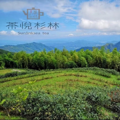 Taiwan unique tea,Chin-Shin-Oolong,杉林溪蜜香貴妃茶 Shanlinxi Honey Flavor Oolong tea,150g*4