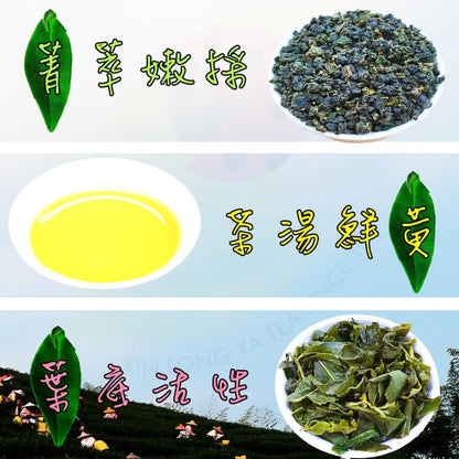 Taiwan unique tea,青心烏龍 杉林溪-羊茗灣,150g*6