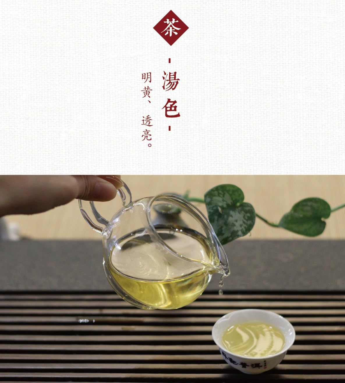 Douji 2014 Jin Dou Raw Pu-erh Tea Cake - 357g (12.6oz) Authentic Yunnan Ancient Tree Spring Tea