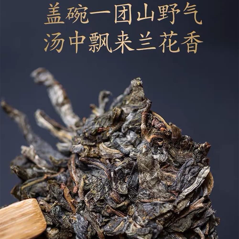 Sheng Jia Yuan Green Pond 2022 Raw Pu-Erh Tea Cake 357g