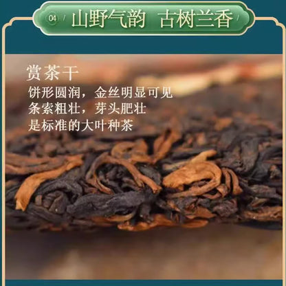 Pu-Erh tea,2016,SHENG JIA YUAN,Bangdong,357g,Ripe