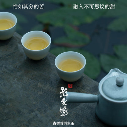 Rainforest Ancient Tree Lao Man'e 2022 Raw Pu-Erh Tea Cake 357g – Premium Yunnan Sheng Puerh