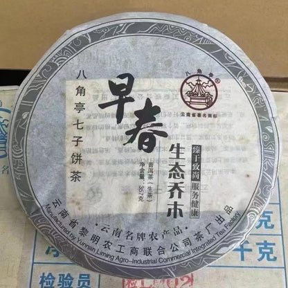 Pu-Erh tea,2010,Bajiaoting,Early Spring Tree,357g,Raw