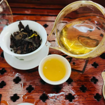 Shihu Dendrobium White Tea Blend, 5g x 100 Sachets (500g Total), Herbal Loose Tea