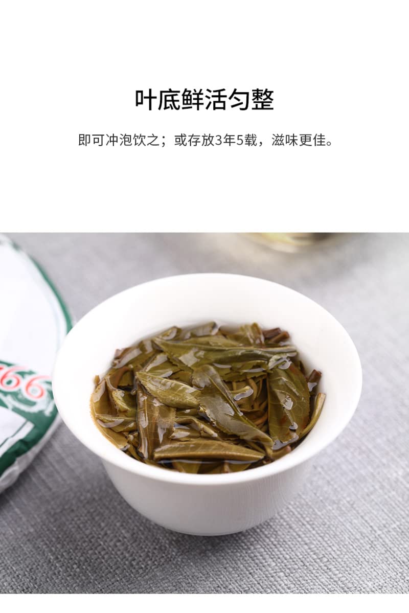 Old Comrade 2020 9948 Raw Pu-Erh Tea – 357g (12.6oz) Sheng Puerh Cake – Premium Chinese Tea