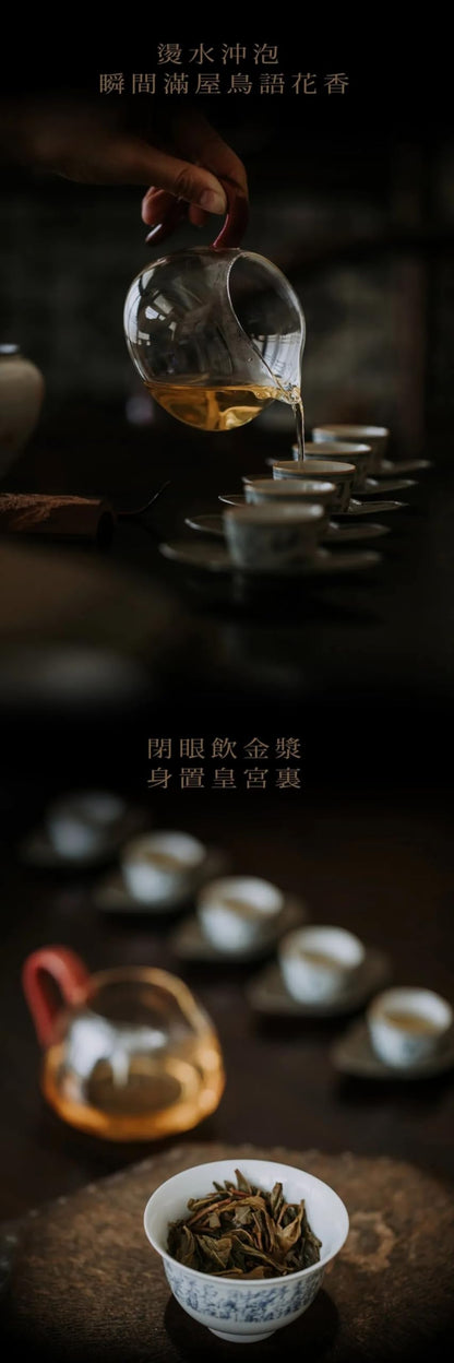 Yulin Ancient Tea 2020 Lang Yue Zhong Tian Yiwu Extra Large Ancient Tree Raw Puerh Tea Premium Cake 357g