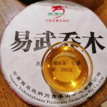 Longyuan Hao Yiwu Arbor 2016 Raw Pu-Erh Tea Cake 380g