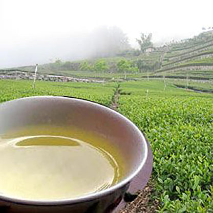 Taiwan unique tea,TTES No.12 (Jhinshuan),阿里山珠露茶 Alishan Tea,300g*2