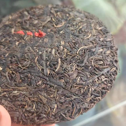 2008 Raw Pu-erh Tea Cake, Xigui Ancient Tree Tea, 357g