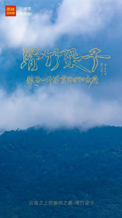 Yulin Raw Pu-erh Tea Cake - 2021 Hua Zhu Liang Zi 150g*5 (750g Total)