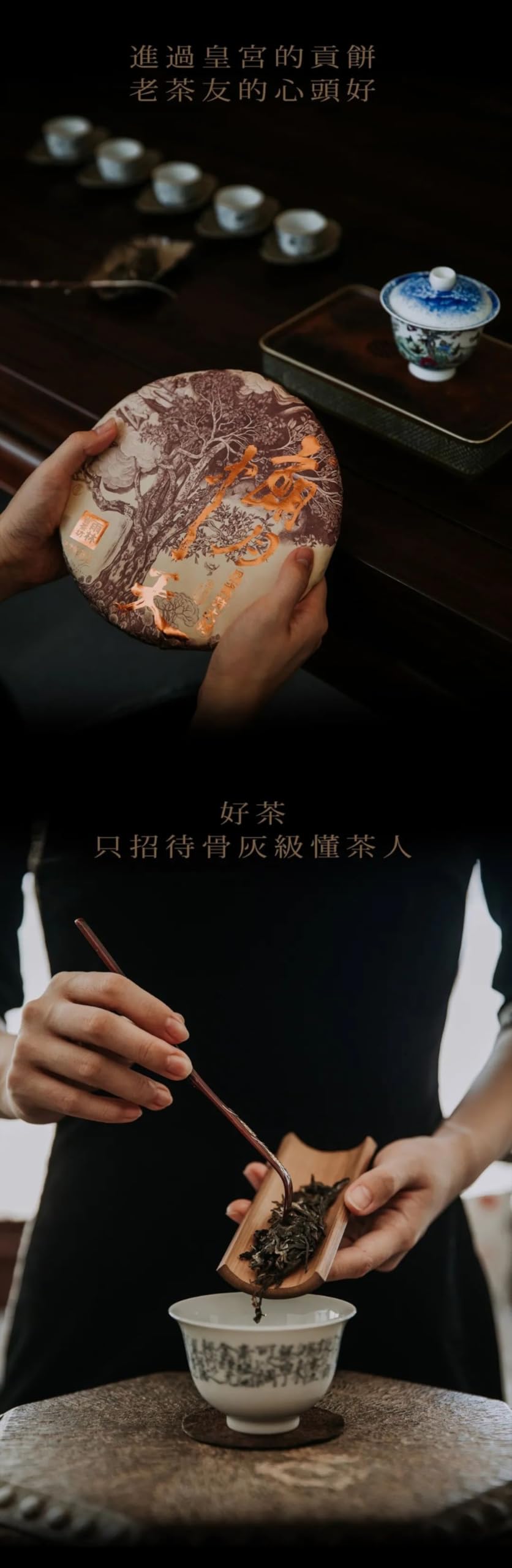 Yulin Ancient Tea 2020 Lang Yue Zhong Tian Yiwu Extra Large Ancient Tree Raw Puerh Tea Premium Cake 357g