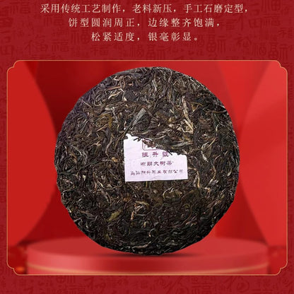 2022 ChenShenghao Raw Pu-Erh Tea, Brown Tree, 400g, from Yunnan